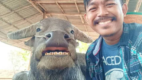 พี่คล้าวระทม ควายทองคำหาย เคยถ่ายเซลฟี่ยิ้มโชว์ฟันจนโด่งดัง