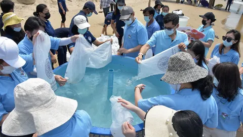 ปล่อยปลาคืนสมดุลระบบนิเวศท้องทะเลไทย