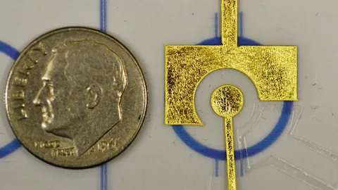 พัฒนาทองคำเปลวช่วยวินิจฉัยการติดเชื้อไวรัส