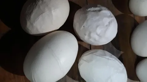 แม่ค้าเผย "ไข่เหี่ยว" ออเดอร์ทะลัก เป็นกระแสแล้วขายดีจนขาดตลาด