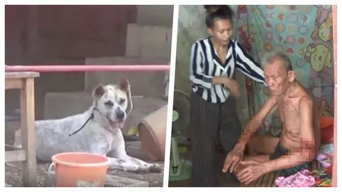 "บางแก้ว" พันธ์ุโหด หลุดโซ่ ขย้ำเจ้าของ ฝังเขี้ยวเหวอะ กว่า 20 แผล