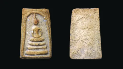 วรรณะมะกอกสุก