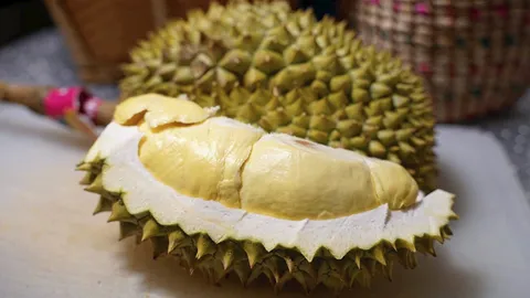 มหัศจรรย์ผลไม้ไทย ห้ามพลาด ทุเรียนหลงลับแล สดจากสวน