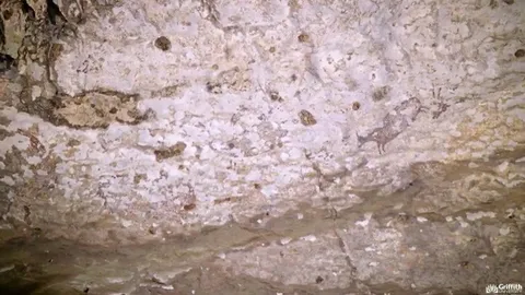 อุณหภูมิอาจเป็นปัจจัยที่เร่งการเสื่อมโทรมศิลปะหินโบราณ