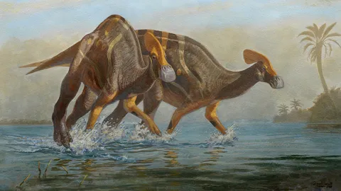 ซากฟอสซิลไดโนเสาร์พบในเม็กซิโก ระบุเป็นสายพันธุ์ช่างคุย