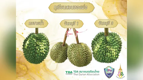 เปิดประมูลทุเรียนจากสวนของพ่อ หารายได้สร้างบ้านพักผู้ป่วยยากไร้ จ.จันทบุรี