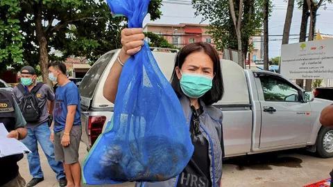 เมนูสยอง