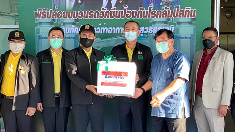 กระจายฉีด 35 จังหวัด วัคซีนสกัดลัมปีสกิน ลอตแรก "6 หมื่นโดส"