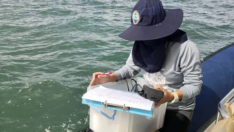 ศรชล.และ ศวทอ.เร่งสำรวจปะการังฟอกขาวทะเลภาคตะวันออก หลัง ปชช.กังวลหนัก