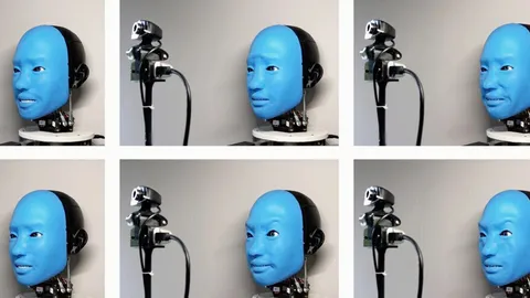 พัฒนาสร้างอารมณ์บนใบหน้าของหุ่นยนต์