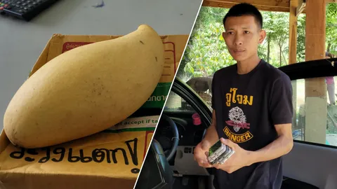 ส่งไอโฟน ถึงปลายทางกลายเป็น "มะม่วง" พนักงาน บ.ขนส่ง แกะขายกระจาย