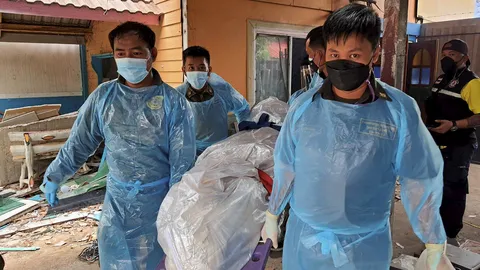 ฆ่าโบกปูน