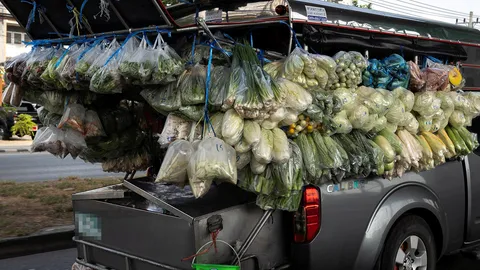 คุมเข้ม “รถเร่หรือรถพุ่มพวง” เก็บอาหารเป็นสัดส่วนไม่ปะปน