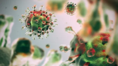 หมอเผยสาเหตุ "อินเดีย" เผชิญหน้า "เชื้อราดำ" วิกฤติซ้ำโควิด-19