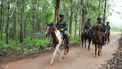ทหารไทยขี่ม้าตรวจริมน้ำเมย สกัดลักลอบเข้าเมืองตามตะเข็บชายแดน จ.ตาก