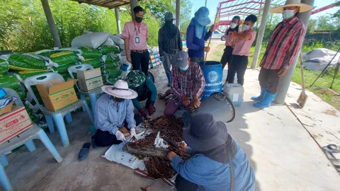 สพด.นนทบุรี หนุนผลิตพืชผักอินทรีย์ด้วยระบบ PGS ปลอดภัยทั้งคนปลูกคนกิน