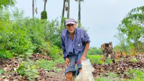 สูงเสียดฟ้าก็จะปีน คุณตานักปาดตาล วัย 82 ยังปีนเก็บน้ำตาลสดคล่อง (คลิป)