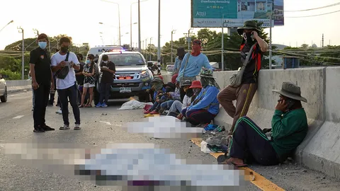 ชนเกลื่อน 3 ศพ