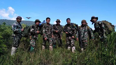 น่ายินดีป่าลึกเขาใหญ่ยังสมบูรณ์ ช้าง กระทิง ทิ้งรอยเท้าไว้ 