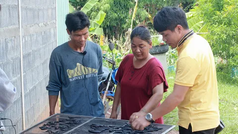 ล่าปลิงควายโกยเงินแสน