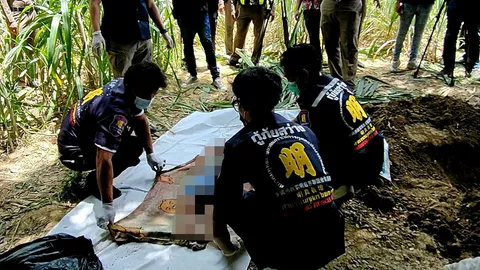 ฝังอำพราง