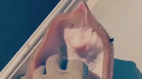 ไม่ขำ อย่าหาทำ