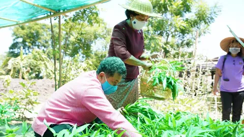 "สุทธิพงษ์" สั่ง ศพช.11 แห่งทั่วประเทศ ปรับเป็นศูนย์ฝึกอบรมอาชีพให้ประชาชน