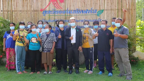 เกษตรกรบ้านหนองเม็กปลื้ม ผลิตผักอินทรีย์ ออเดอร์พุ่ง สร้างรายได้งาม