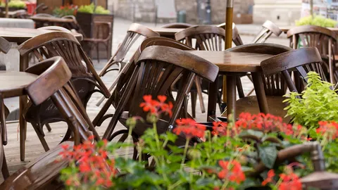 ขี่ช้างจับตั๊กแตน