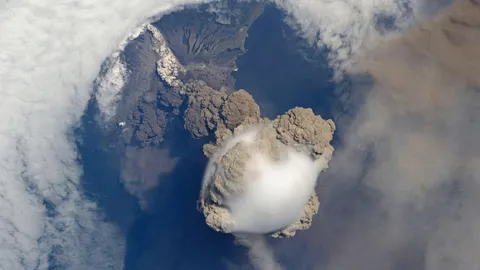 สาเหตุของการสูญพันธุ์ ครั้งใหญ่ยุคเพอร์เมียน