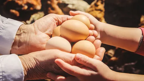 นางไข่ฟ้า หมาเก้าหาง