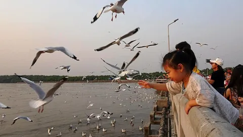 คิดถึง “บางปู” + “ดูนก” โควิดซาเมื่อไร? ไปทันที