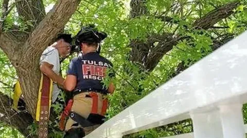 ความซนคน รึ แมว