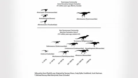 ไทแรนโนซอรัส ครองอำนาจผู้ล่าขนาดกลางก็หายไป