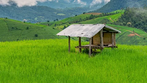 "เถียงนา" คืออะไร เหมาะสำหรับกักตัวกลุ่มเสี่ยงโควิดหรือไม่? 