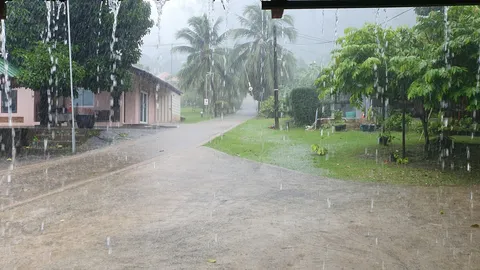 ประกาศฉบับ 2 ศูนย์อุตุนิยมวิทยาภาคใต้ฝั่งตะวันตก เตือนคลื่นลมแรง-ฝนตกหนัก (คลิป)