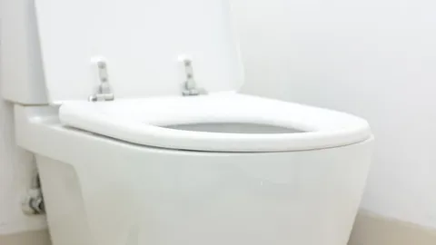 ไม่ทันได้ดู