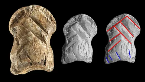 หลักฐานใหม่ เกี่ยวกับมนุษย์นีแอนเดอร์ทัล