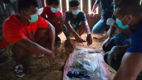 ขยายผลจับแก๊งยานรก ทำผิดซ้ำซาก กำไลอีเอ็มยังติดข้อเท้า ได้ของกลาง 2 พันเม็ด