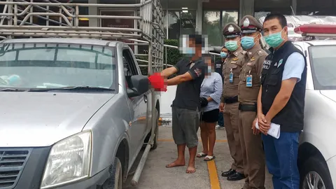 โจรขโมยรถ 