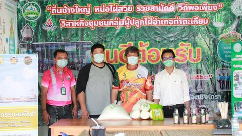 ช้างป่ารอยต่อดุ "แปลงใหญ่ไผ่ ท่าตะเกียบ" ร่วมใจปลูกไผ่ตงขายมาตรฐาน GAP