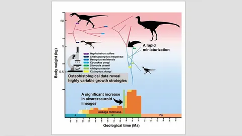 ไดโนเสาร์ขนาดตัวเล็กลง เมื่อเปลี่ยนไปกินมดปลวก