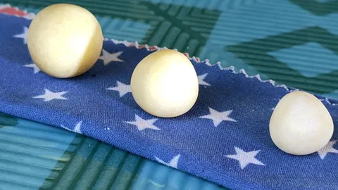 ฮือฮา ผ่าท้องปลาช่อนฯ เจอหินประหลาด สาวเชื่อ "มุกฝาก" หายาก-ราคาแพง