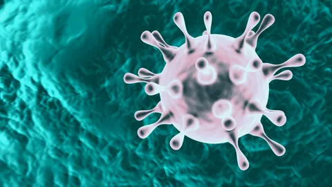 ลุยตรวจสอบโรงงาน ที่ชลบุรี พนักงานติดโควิดอื้อ แต่ยังเปิดทำงานปกติ