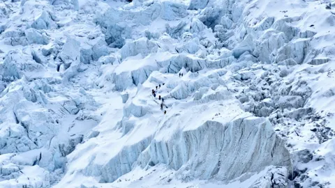 พบไวรัสโบราณอายุกว่า 15,000 ปี ฝังตัวในธารน้ำแข็งทิเบต
