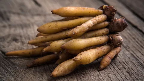 กระชายสู้โควิด..แพ้โรคเหง้าเน่า