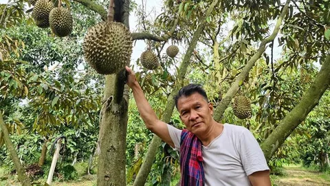 แนวทางการทำสวนทุเรียนออร์แกนิก ทำได้จริงอิงธรรมชาติ