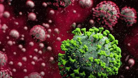 ทำตัวแบบอะมีบา สู้สงครามโควิด-19