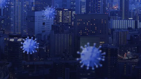 COVID-19 scourged our country.