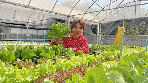 “ตามสัญญา” เทปพิเศษเฉพาะกิจ ช่วยดาราหาอาชีพสำรอง